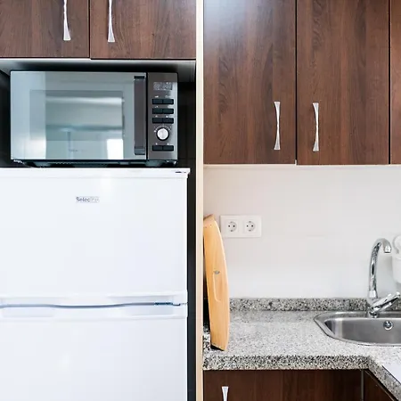 Apart. Recogidas Centro Apartment